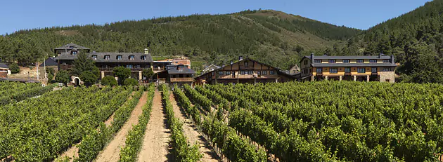 Bodegas Palacio de Canedo - Prada a Tope, Bierzo DO