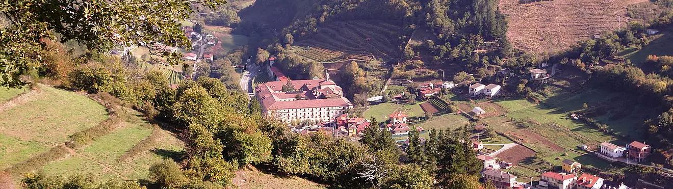 Bodega Monasterio de Corias, Cangas del Narcea DOP