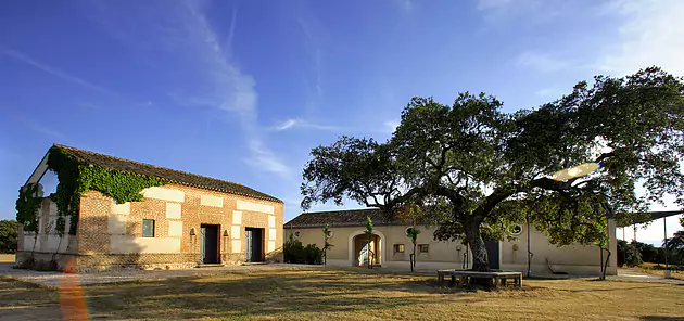 Finca La Verdosa - Arrayán, Méntrida DO (Toledo)