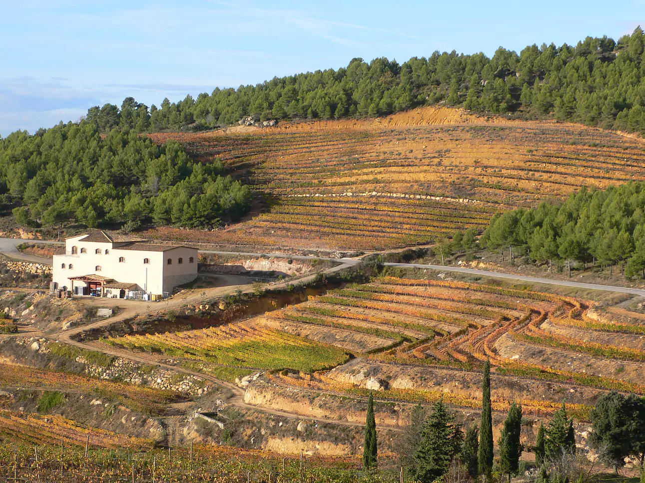 Bodegues Ametller Civill, Priorat DOCa
