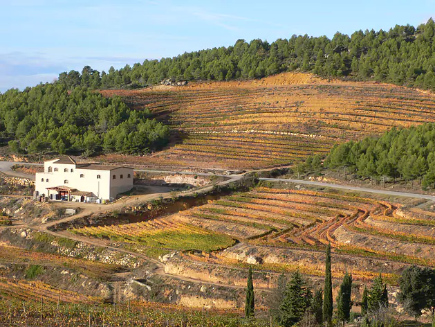 Bodegues Ametller Civill, Priorat DOCa