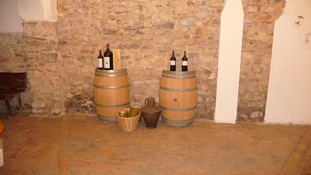 Celler Bàrbara Forés, Terra Alta DO