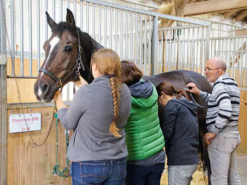 Weiterbildung Equigarde®