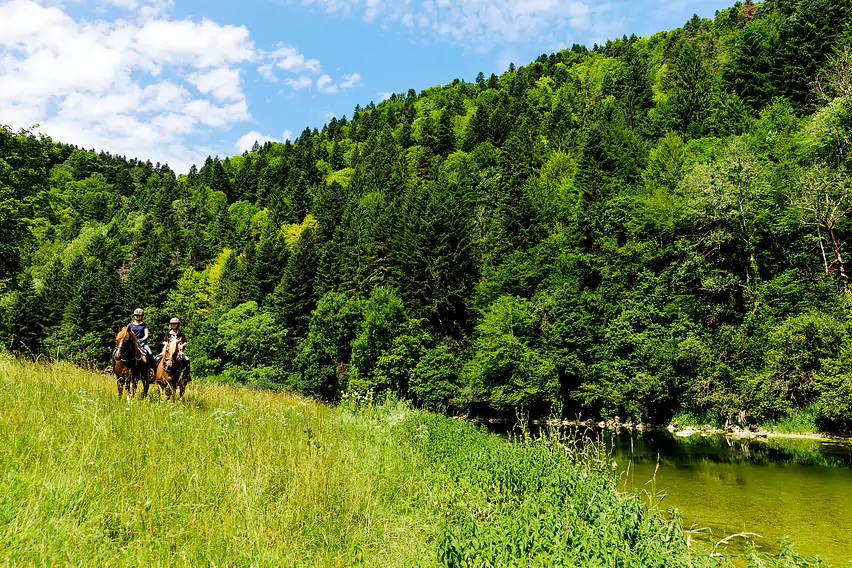 Sentier_Equestre_1-WEB-frji-ABrown2017-15.jpg