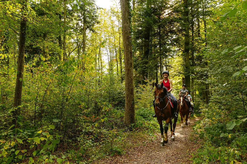 Parcours_Equestre-Ajoie-┬®ABrown2018-11.jpg