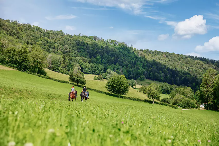 Parcours_Equestre-Movelier-Haut_Plateau-©ABrown2020-WEB-8.jpg