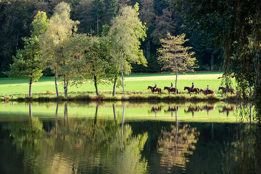 Copyright Vincent Bourrut.jpg