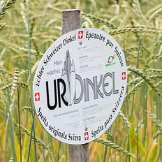 UrDinkel