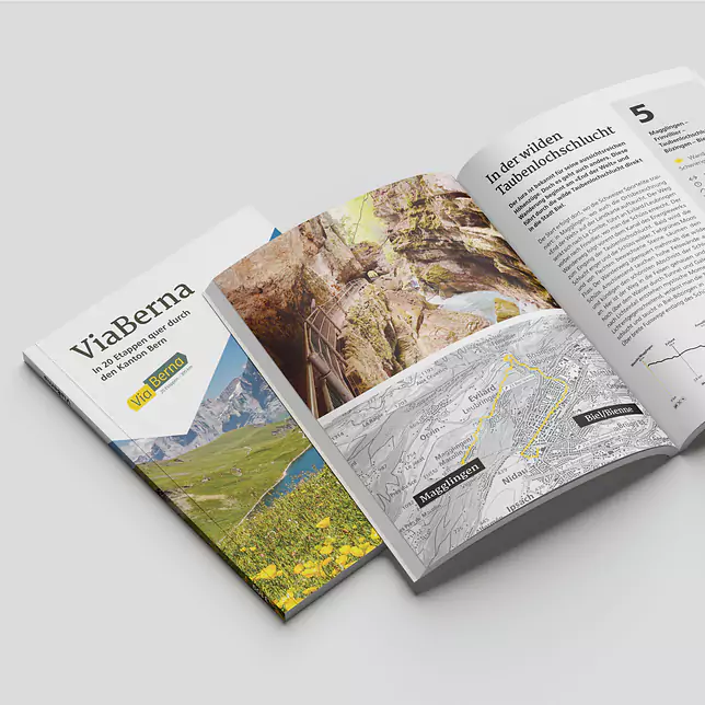 buchcover_viaberna.jpg