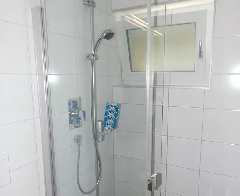 Aglaja_Duschsystem_silber_Aura_1bk.jpg
