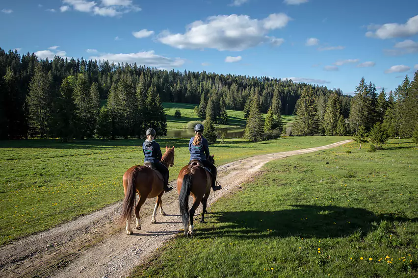 210527_Jura.ch_Tourisme_Cheval_Couleurs_SD_3.jpg