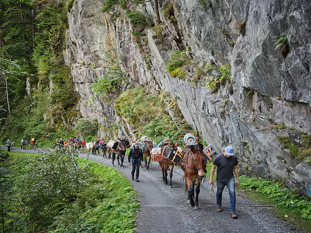 Säumen zur Treschhütte