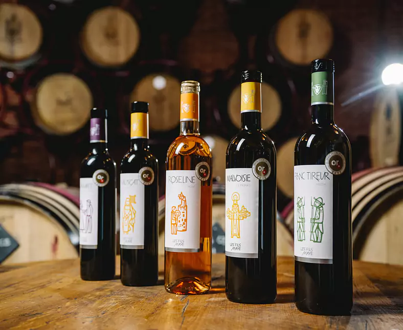 Fils Maye - IP Suisse 125.jpg