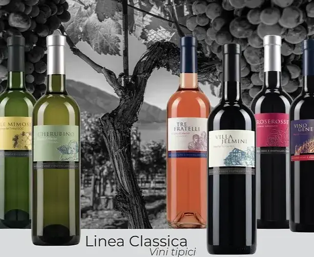 Linea Classica.webp