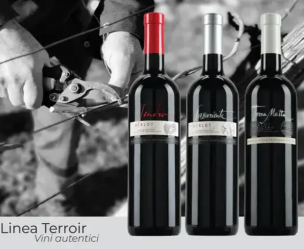 Linea Terroir.webp