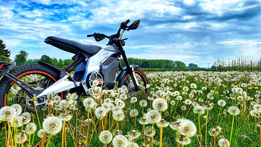 caofen-f80-etrix-elektro-crossbike-front-schweiz-pusteblume-2.jpg