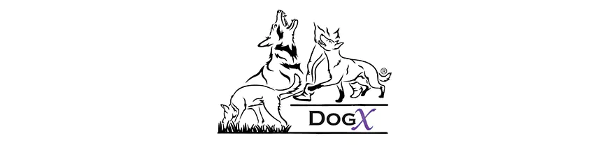 DogX Der gesunde Hund (Bewegung und Ernährung)