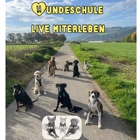 Vorstellung SpassSport, kurze und spassige Übungen für jeden Hund 