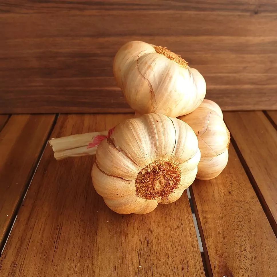 Frischer geräucherter rosé Knoblauch, 3 Stück