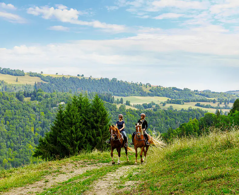 Sentier_Equestre_1-WEB-frji-ABrown2017-09.jpg