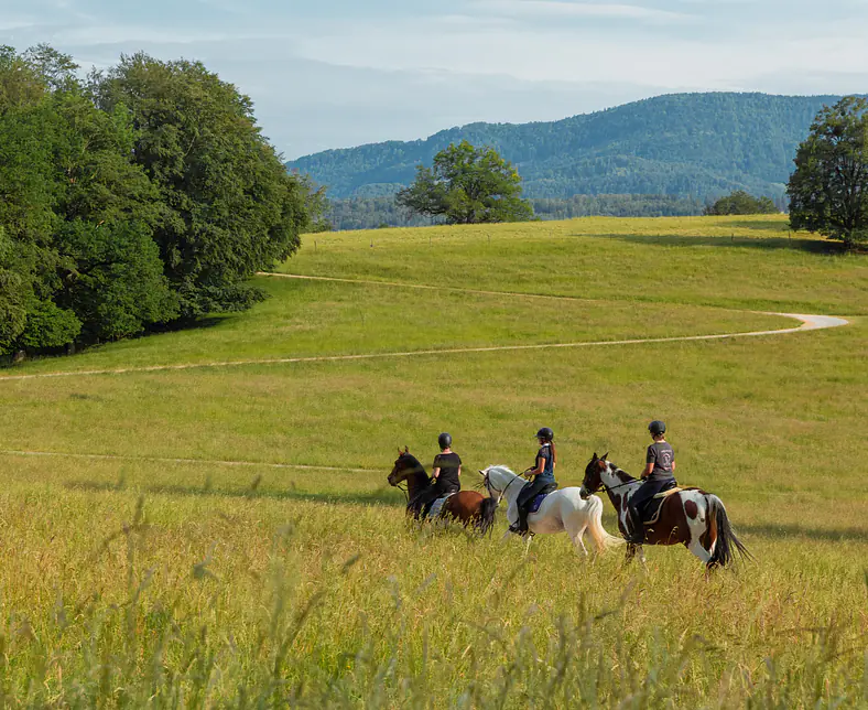 Reseau_Equestre_Val_Terbi-┬®ABrown2023-16.jpg