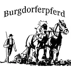 Burgdorferpferde Marius Zollet