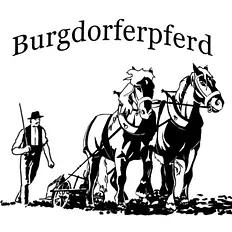 Burgdorferpferde Marius Zollet