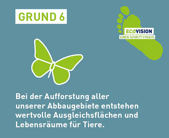 VB_BEA2025_Gruende_ECOVISION_550x450_6.png