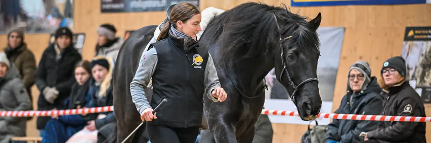 Parelli Team Schweiz