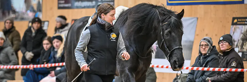 Parelli Team Schweiz