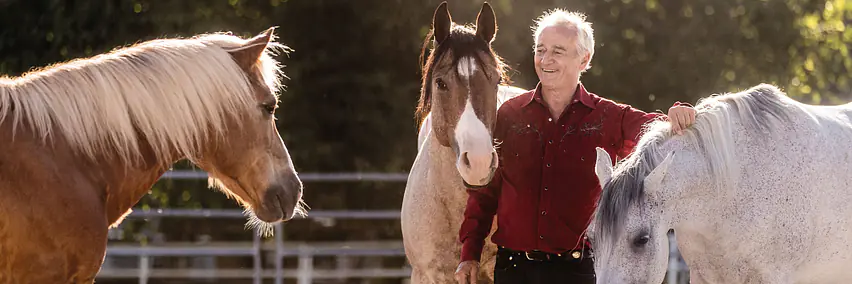Ist gewaltfreies Pferdetraining möglich?
