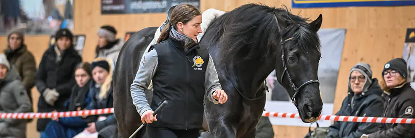 Parelli Team Schweiz