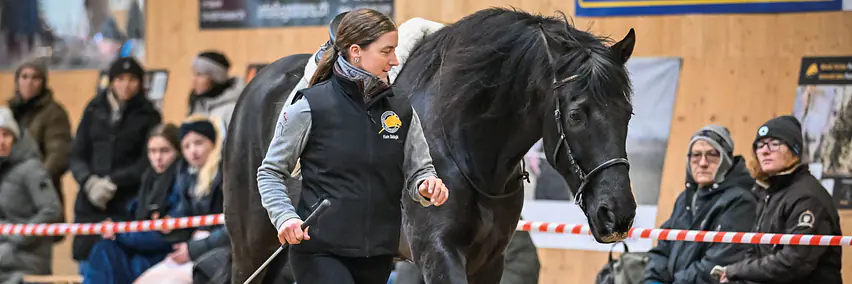 Parelli Team Schweiz