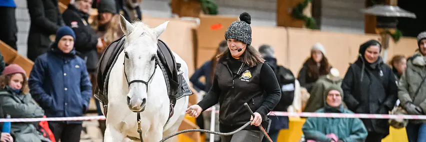 Parelli Natural Horsemanship Erlebnisnachmittag