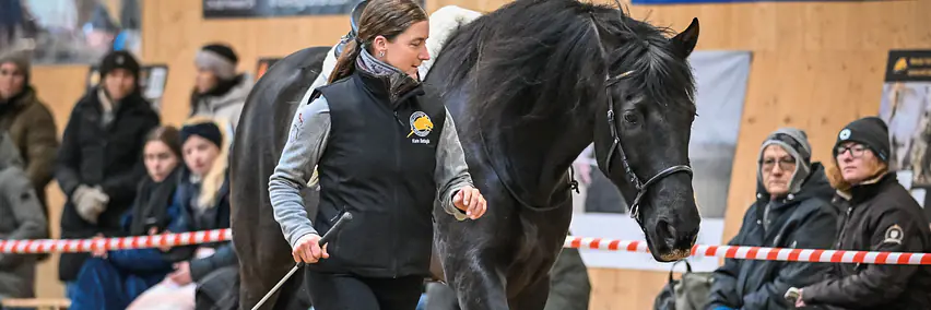 Parelli Team Schweiz