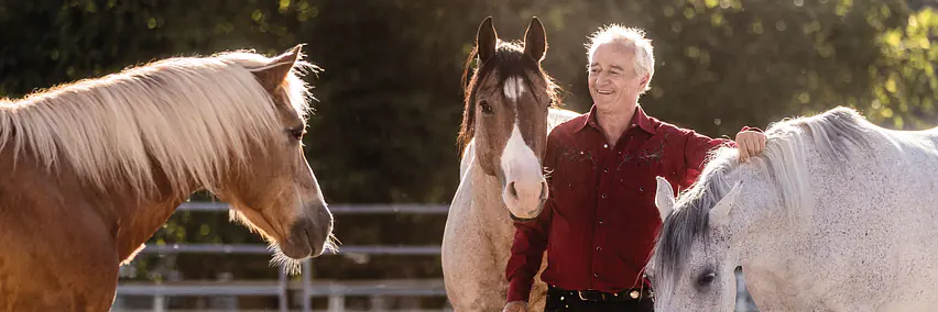 Ist gewaltfreies Pferdetraining möglich?