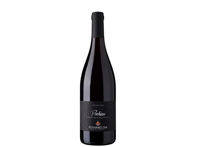 Pachien «Pinot Noir de Salquenen» AOC VS