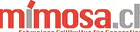 Mimosa-Cheminéebau und Gewürze AG