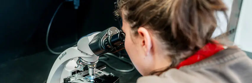 Laboruntersuchungen beim Pferd – Ein Blick unter das Mikroskop
