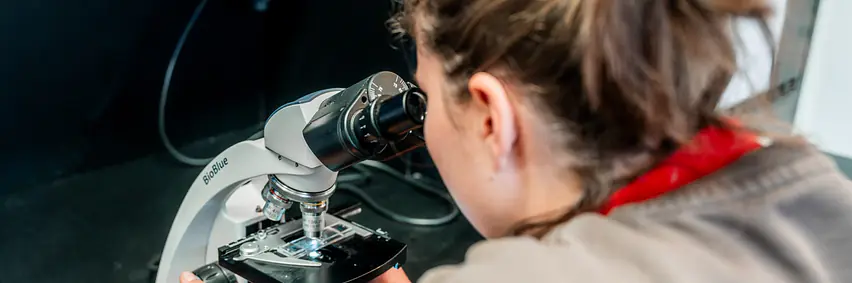 Laboruntersuchungen beim Pferd – Ein Blick unter das Mikroskop
