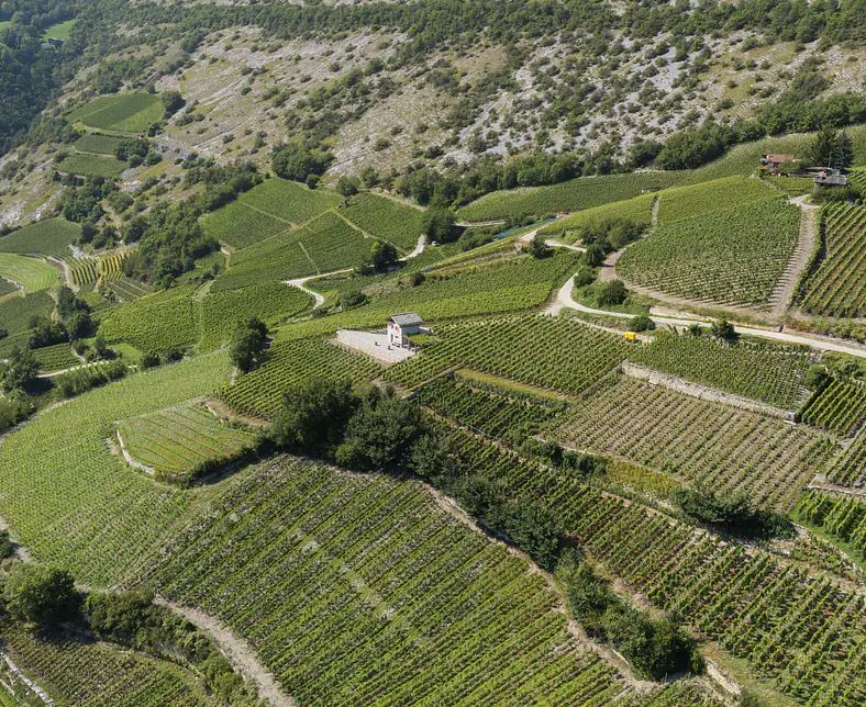 DJI_0045.jpg