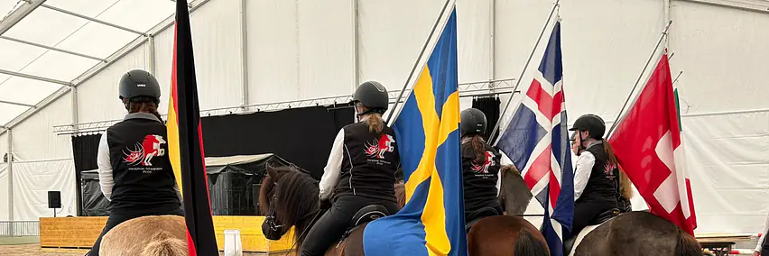 Pferde der Insel aus Feuer und Eis