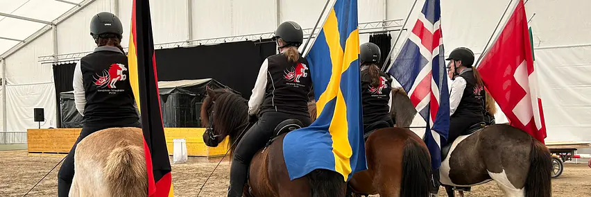 Pferde der Insel aus Feuer und Eis