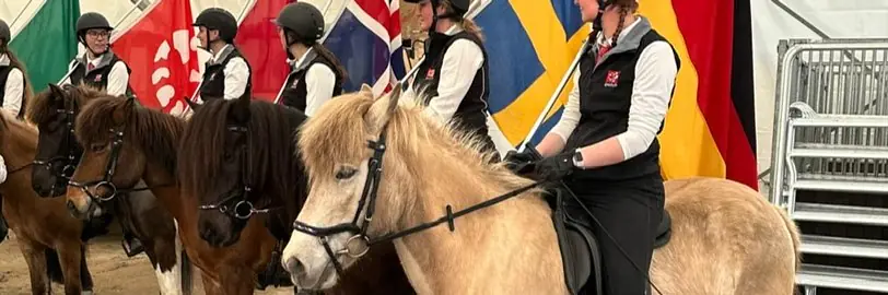 Pferde der Insel aus Feuer und Eis