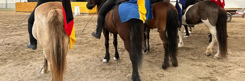 Pferde der Insel aus Feuer und Eis