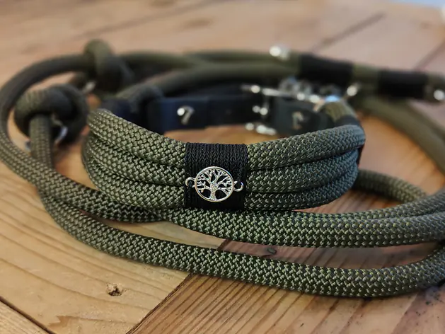 hundeleinen & halsbänder