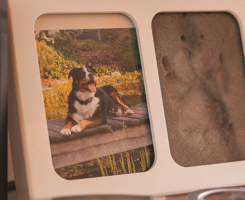 TIE - Tierkrematorium Kirchberg Bilder-19.jpg