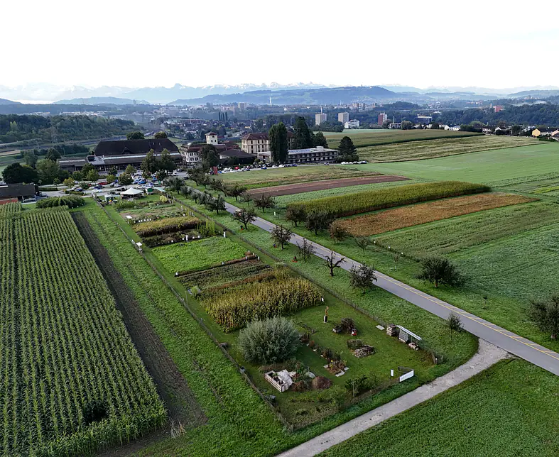 Drohnenaufnahme_WABE_MartinZbinden (2).JPG