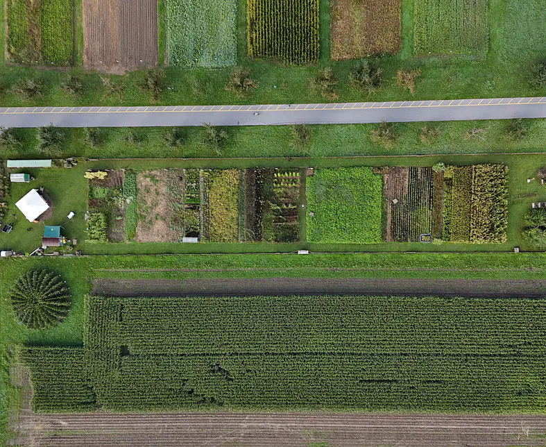 MartinZbinden (4).JPG