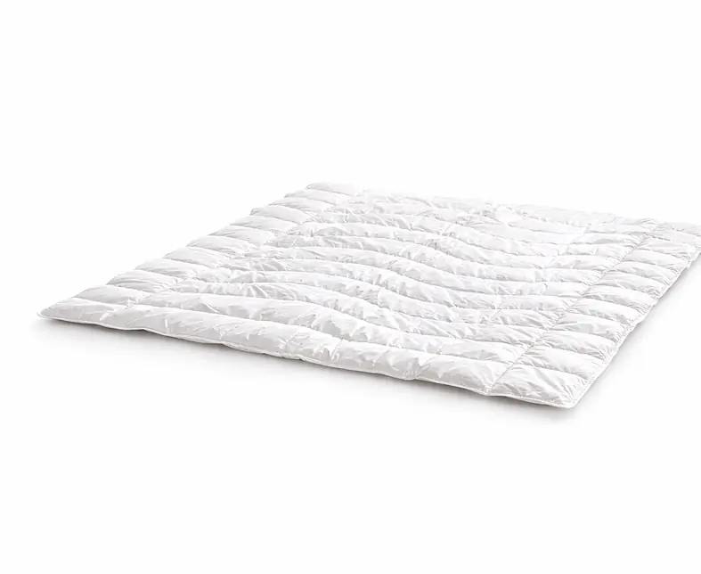 ChatGPT Image 24. Feb. 2026, 08_59_24.png